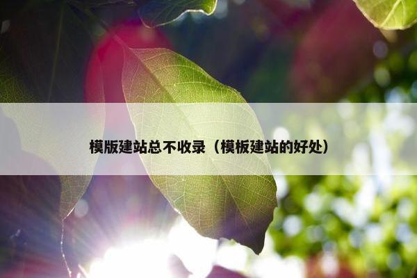 模版建站总不收录（模板建站的好处）