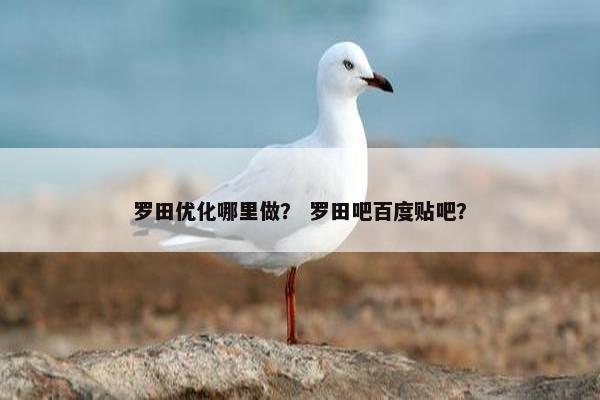 罗田优化哪里做？ 罗田吧百度贴吧？