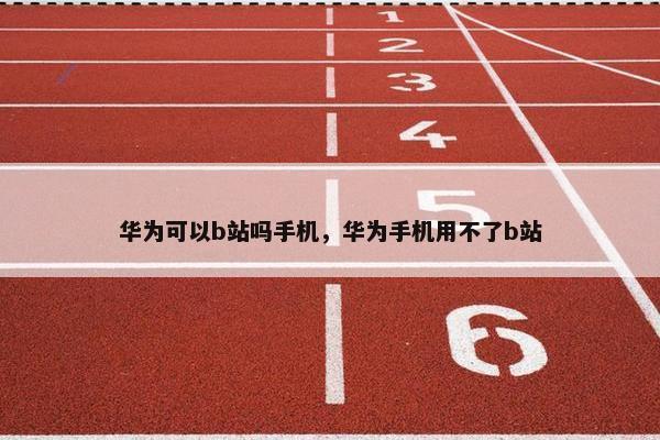 华为可以b站吗手机，华为手机用不了b站
