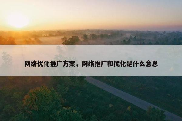 网络优化推广方案，网络推广和优化是什么意思
