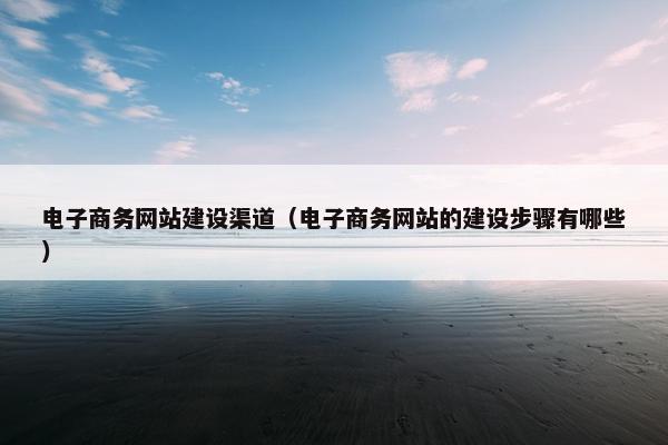 电子商务网站建设渠道（电子商务网站的建设步骤有哪些）