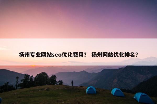 扬州专业网站seo优化费用？ 扬州网站优化排名？