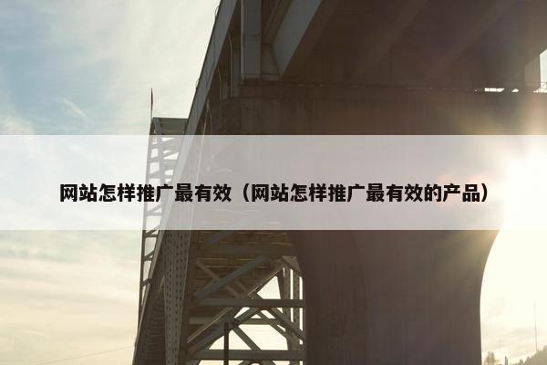 网站怎样推广最有效（网站怎样推广最有效的产品）