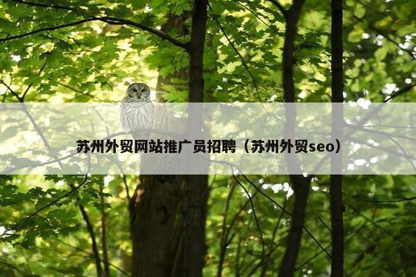 苏州外贸网站推广员招聘（苏州外贸seo）