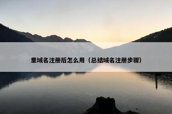 里域名注册后怎么用（总结域名注册步骤）