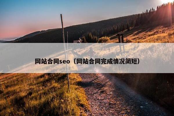网站合同seo（网站合同完成情况简短）