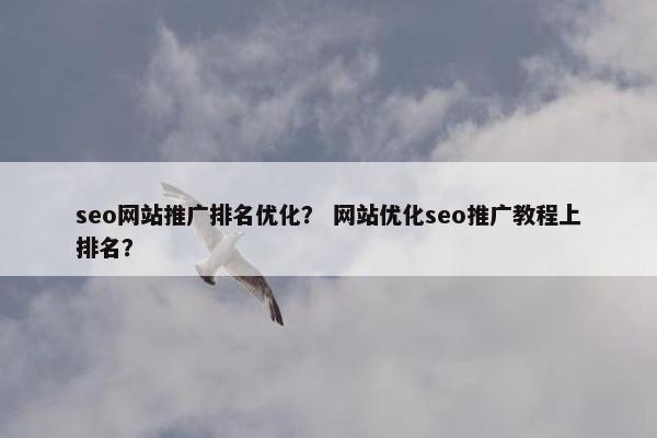 seo网站推广排名优化？ 网站优化seo推广教程上排名？