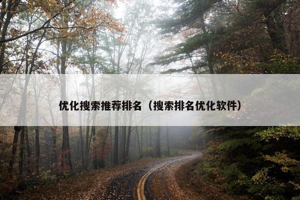 优化搜索推荐排名（搜索排名优化软件）