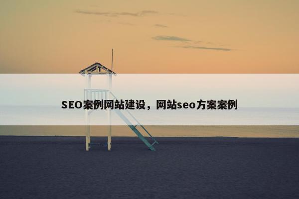 SEO案例网站建设，网站seo方案案例
