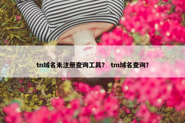 tn域名未注册查询工具？ tm域名查询？