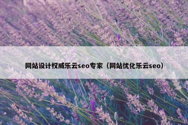 网站设计权威乐云seo专家（网站优化乐云seo）