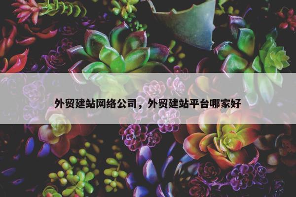 外贸建站网络公司，外贸建站平台哪家好