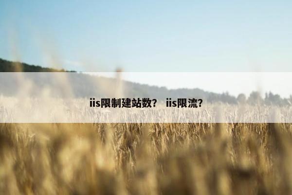 iis限制建站数？ iis限流？