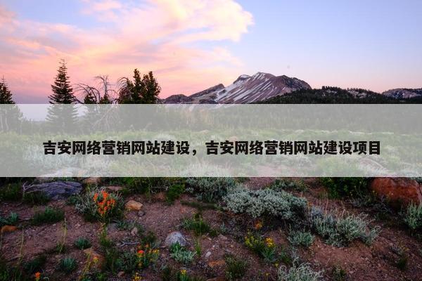 吉安网络营销网站建设，吉安网络营销网站建设项目