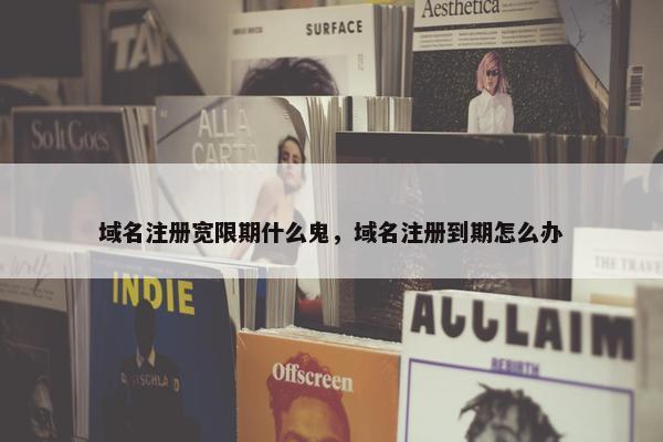 域名注册宽限期什么鬼，域名注册到期怎么办