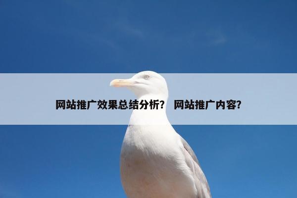 网站推广效果总结分析？ 网站推广内容？