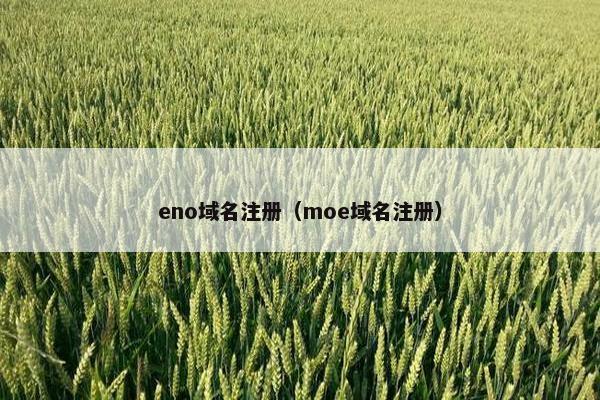 eno域名注册（moe域名注册）
