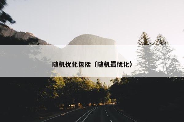 随机优化包括（随机最优化）