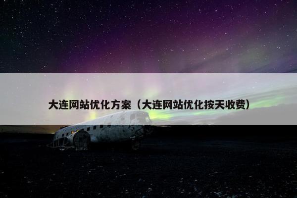 大连网站优化方案（大连网站优化按天收费）