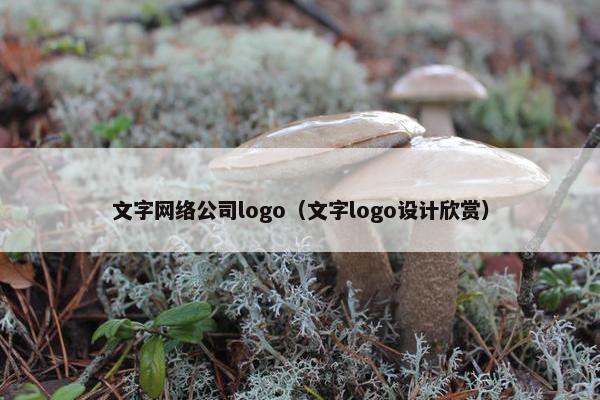 文字网络公司logo（文字logo设计欣赏）