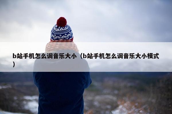 b站手机怎么调音乐大小（b站手机怎么调音乐大小模式）