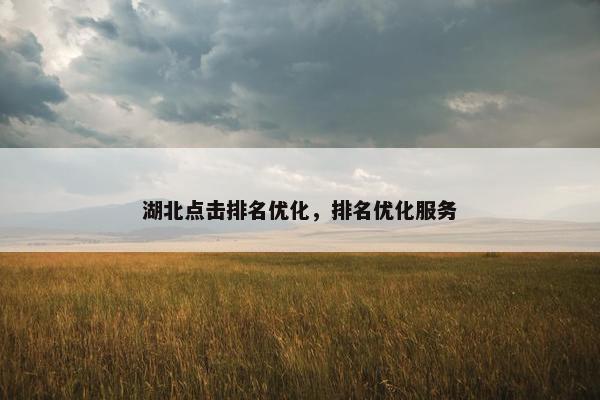 湖北点击排名优化，排名优化服务