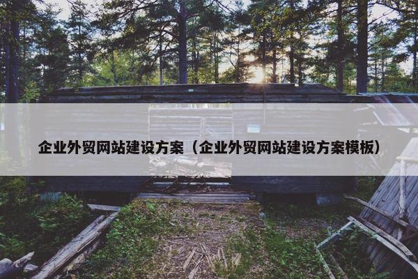 企业外贸网站建设方案（企业外贸网站建设方案模板）
