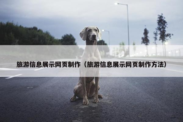 旅游信息展示网页制作（旅游信息展示网页制作方法）