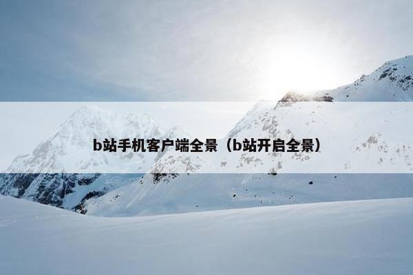 b站手机客户端全景（b站开启全景）