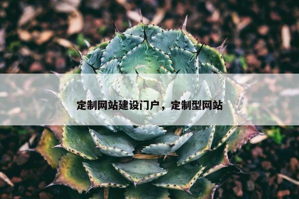 定制网站建设门户，定制型网站