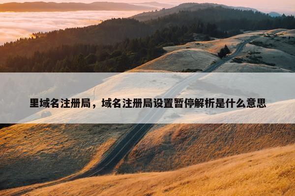 里域名注册局，域名注册局设置暂停解析是什么意思