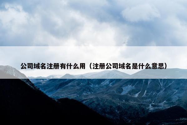 公司域名注册有什么用（注册公司域名是什么意思）