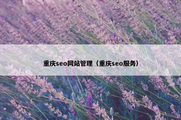 重庆seo网站管理（重庆seo服务）