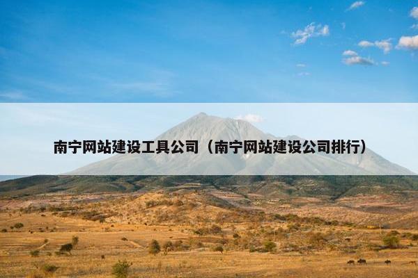 南宁网站建设工具公司（南宁网站建设公司排行）