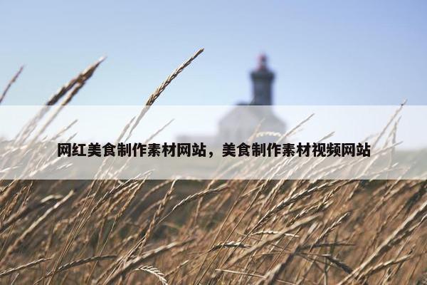 网红美食制作素材网站，美食制作素材视频网站