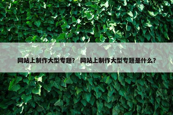 网站上制作大型专题？ 网站上制作大型专题是什么？