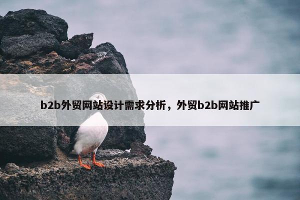 b2b外贸网站设计需求分析，外贸b2b网站推广