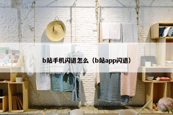 b站手机闪退怎么（b站app闪退）