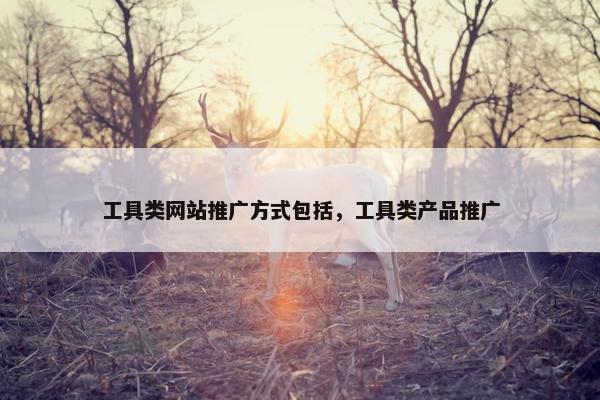 工具类网站推广方式包括，工具类产品推广