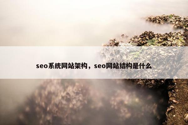 seo系统网站架构，seo网站结构是什么