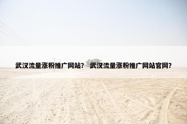 武汉流量涨粉推广网站？ 武汉流量涨粉推广网站官网？
