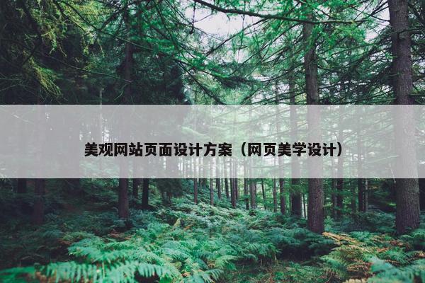 美观网站页面设计方案（网页美学设计）