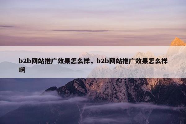 b2b网站推广效果怎么样，b2b网站推广效果怎么样啊