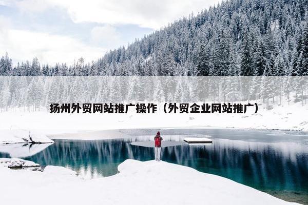 扬州外贸网站推广操作（外贸企业网站推广）