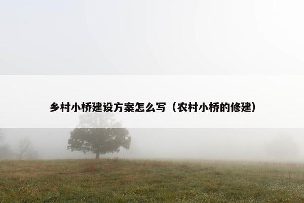乡村小桥建设方案怎么写（农村小桥的修建）