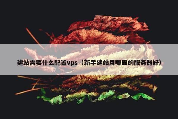 建站需要什么配置vps（新手建站用哪里的服务器好）