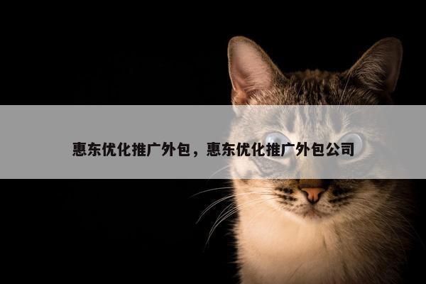 惠东优化推广外包，惠东优化推广外包公司