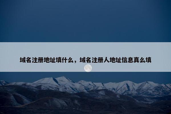 域名注册地址填什么，域名注册人地址信息真么填