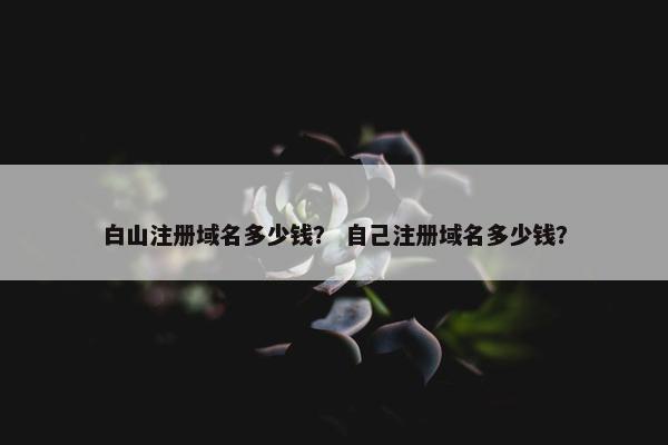白山注册域名多少钱？ 自己注册域名多少钱？