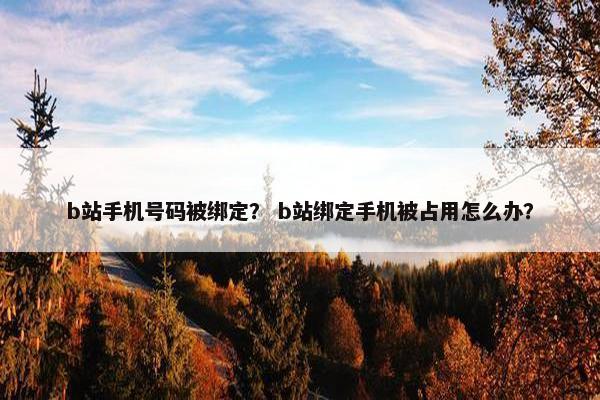 b站手机号码被绑定？ b站绑定手机被占用怎么办？